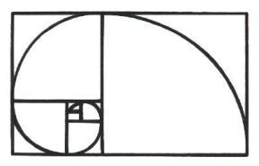 Fibonacci Spiral